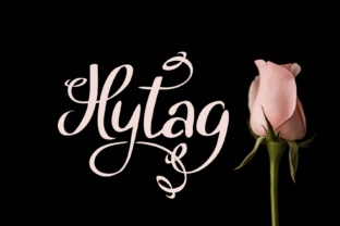 Hytag Typeface: A Soft Script Handwritten Font for Handmade Brands