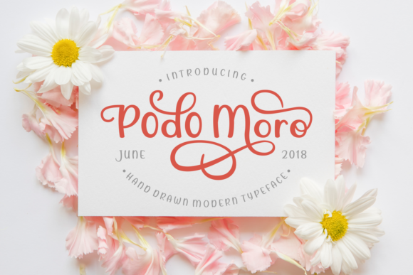 Podo Moro Typeface: Modern Handwritten Fonts for Digital Branding