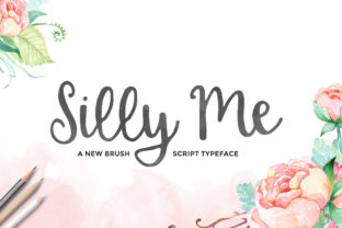 Silly Me Typeface Review for Handmade Branding