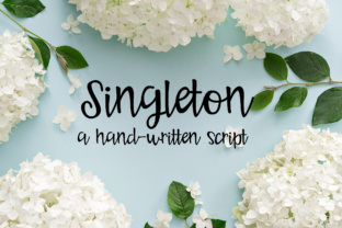 Singleton Typeface Review: A Playful Script for Modern Branding