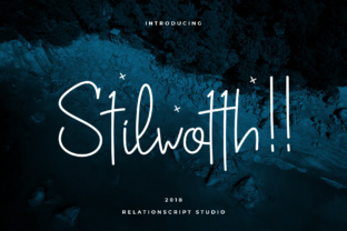 Stilwotth Script Handwritten Fonts for Boutique Branding