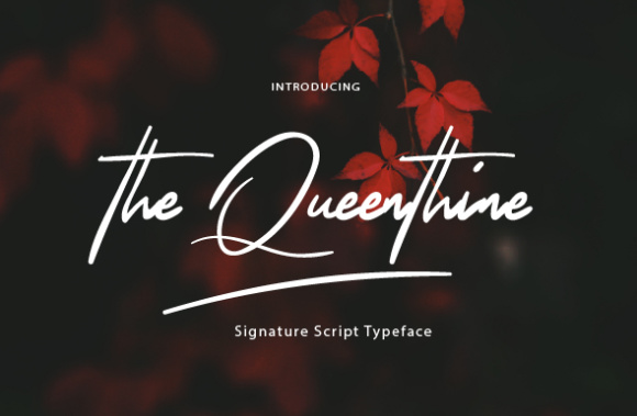 The Queenthine: Elegant Script Fonts for Boutique Branding
