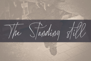 The Standing Still: Authentic Handwritten Script for Elegant Branding