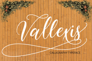 Vallexis Typeface: Elegant Script Fonts for Feminine Brand Identity