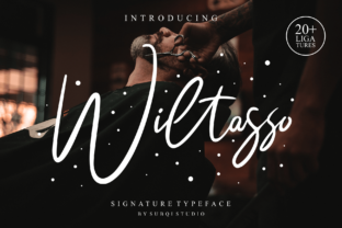 Wiltasso Typeface: Elegant Script Handwritten Fonts for Boutique Branding